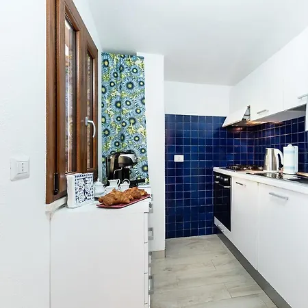 Coccinella * Maracalagonis