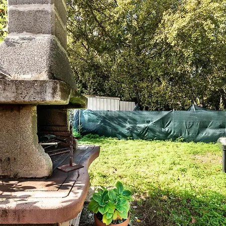 Coccinella * Maracalagonis