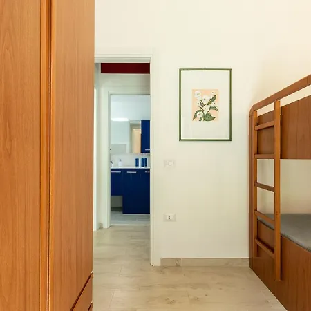 Coccinella * Maracalagonis