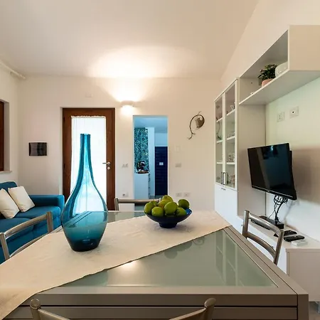 Coccinella * Maracalagonis