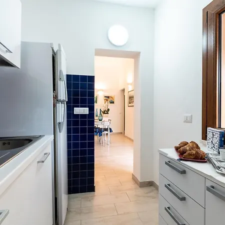 Coccinella Maracalagonis