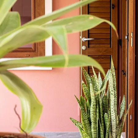 Coccinella Holiday home *