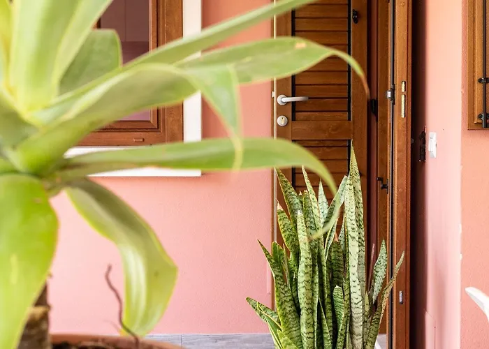 Coccinella Casa de Férias *